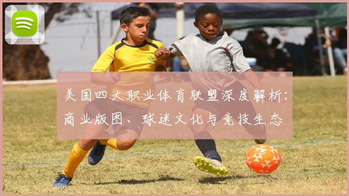 美国四大职业体育联盟深度解析:商业版图、球迷文化与竞技生态