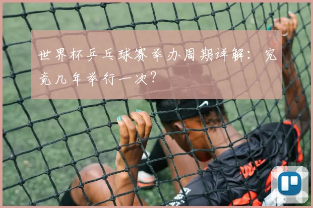 世界杯乒乓球赛举办周期详解:究竟几年举行一次?