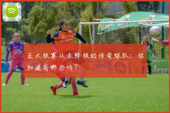 五大联赛从未降级的传奇球队：你知道有哪些吗？